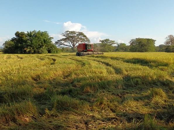 Transformamos el campo para el bienestar de las familias