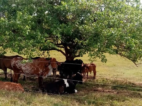 Transformamos el campo para el bienestar de las familias