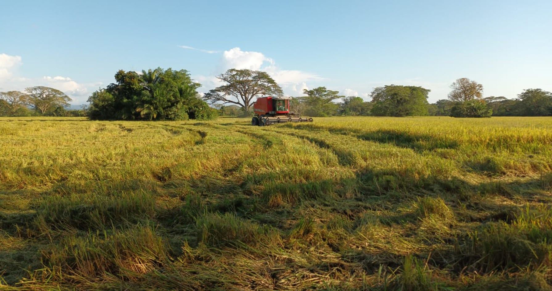 Transformamos el campo para el bienestar de las familias