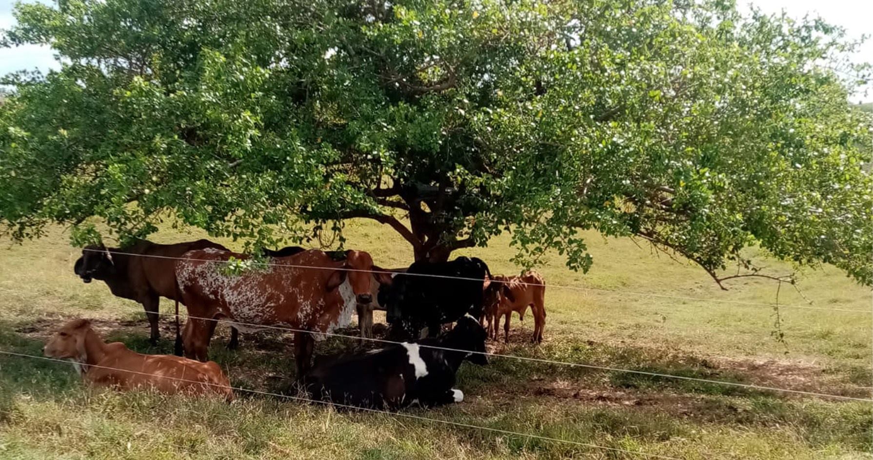 Transformamos el campo para el bienestar de las familias